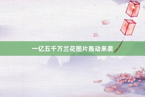 一亿五千万兰花图片轰动来袭