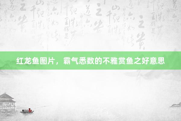 红龙鱼图片,霸气悉数的不雅赏鱼之好意思