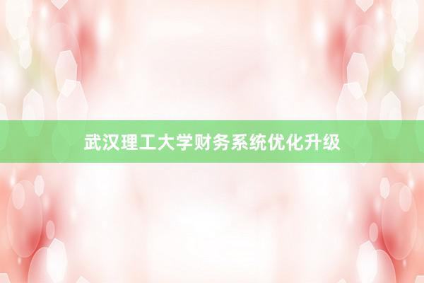 武汉理工大学财务系统优化升级